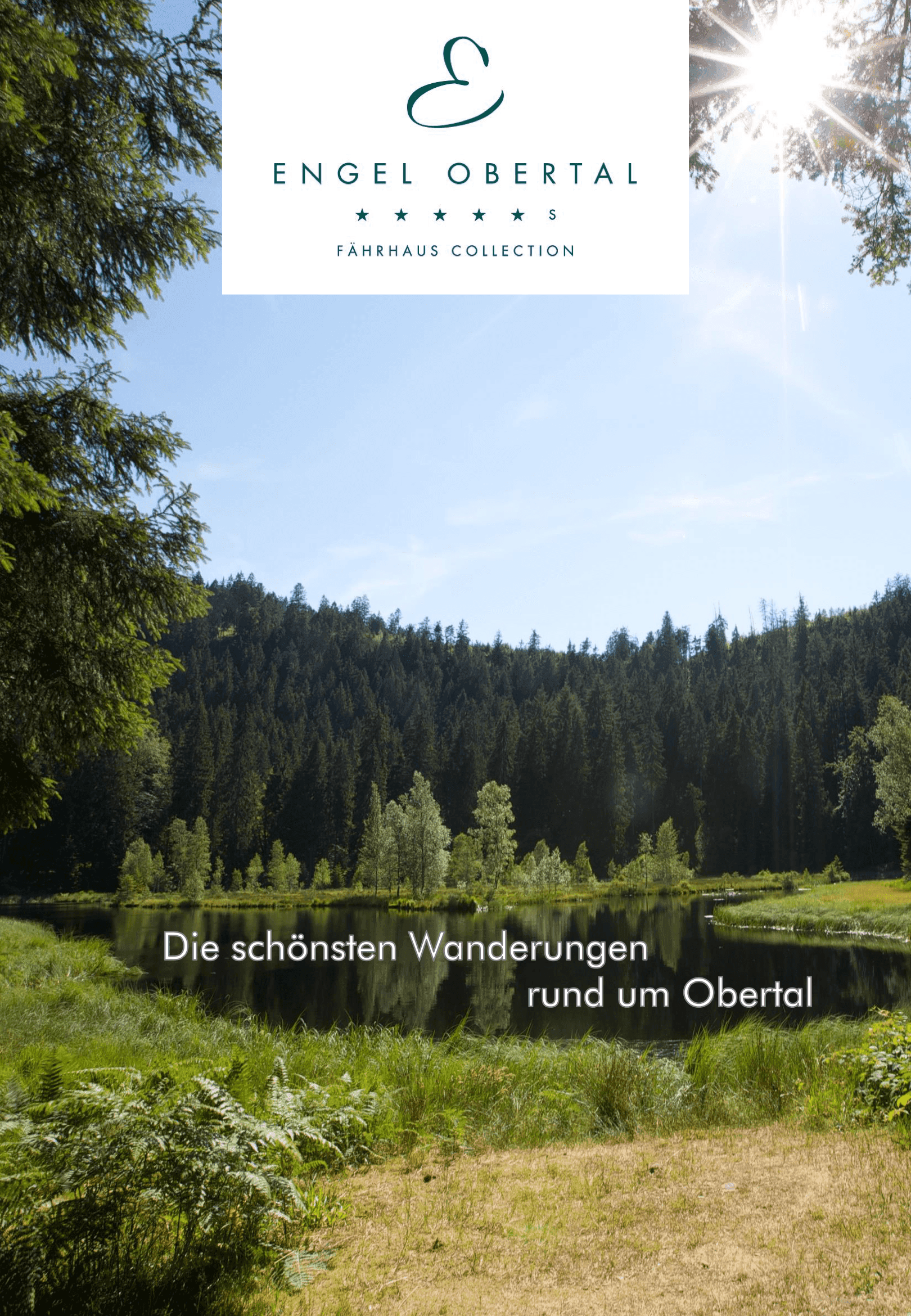 Wandertouren-Broschüre Seite 1: Titelseite mit Blick auf einen Waldsee