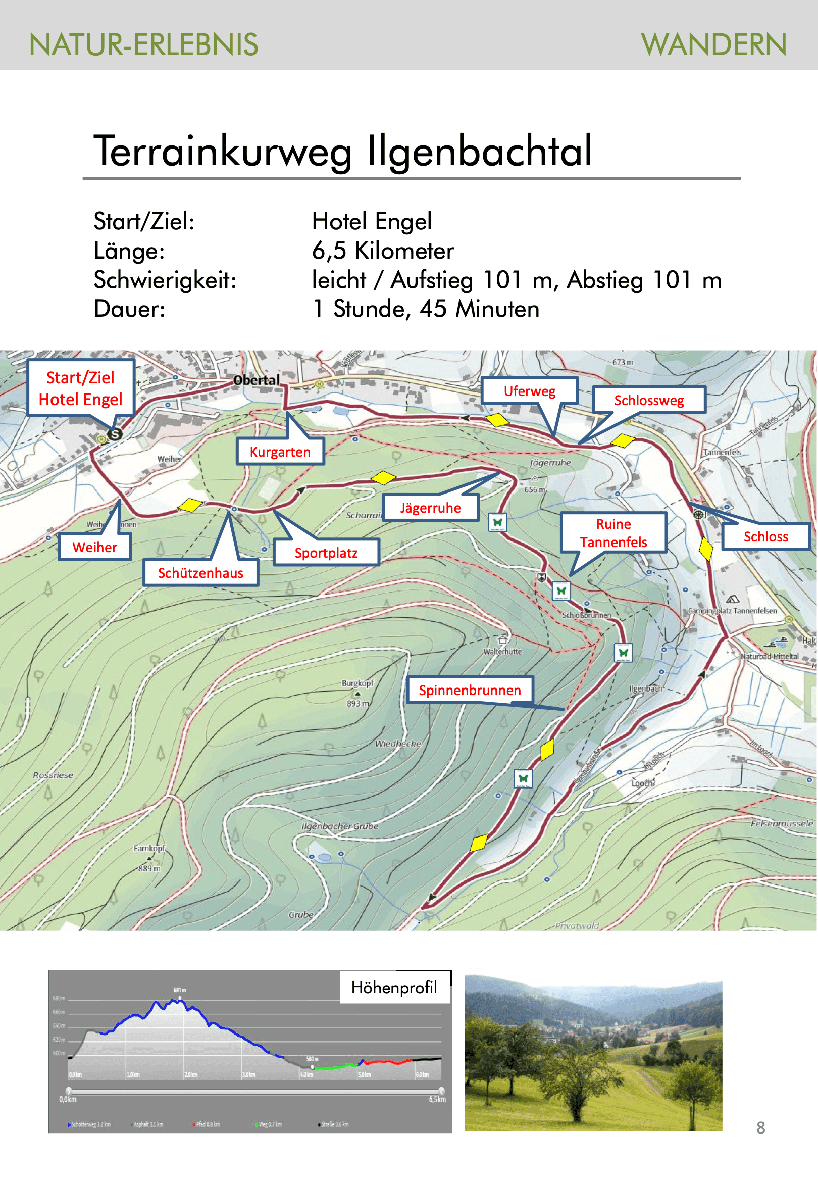 Wandertouren-Broschüre Seite 8: Tourenkarte Terrainkurweg Ilgenbachtal
