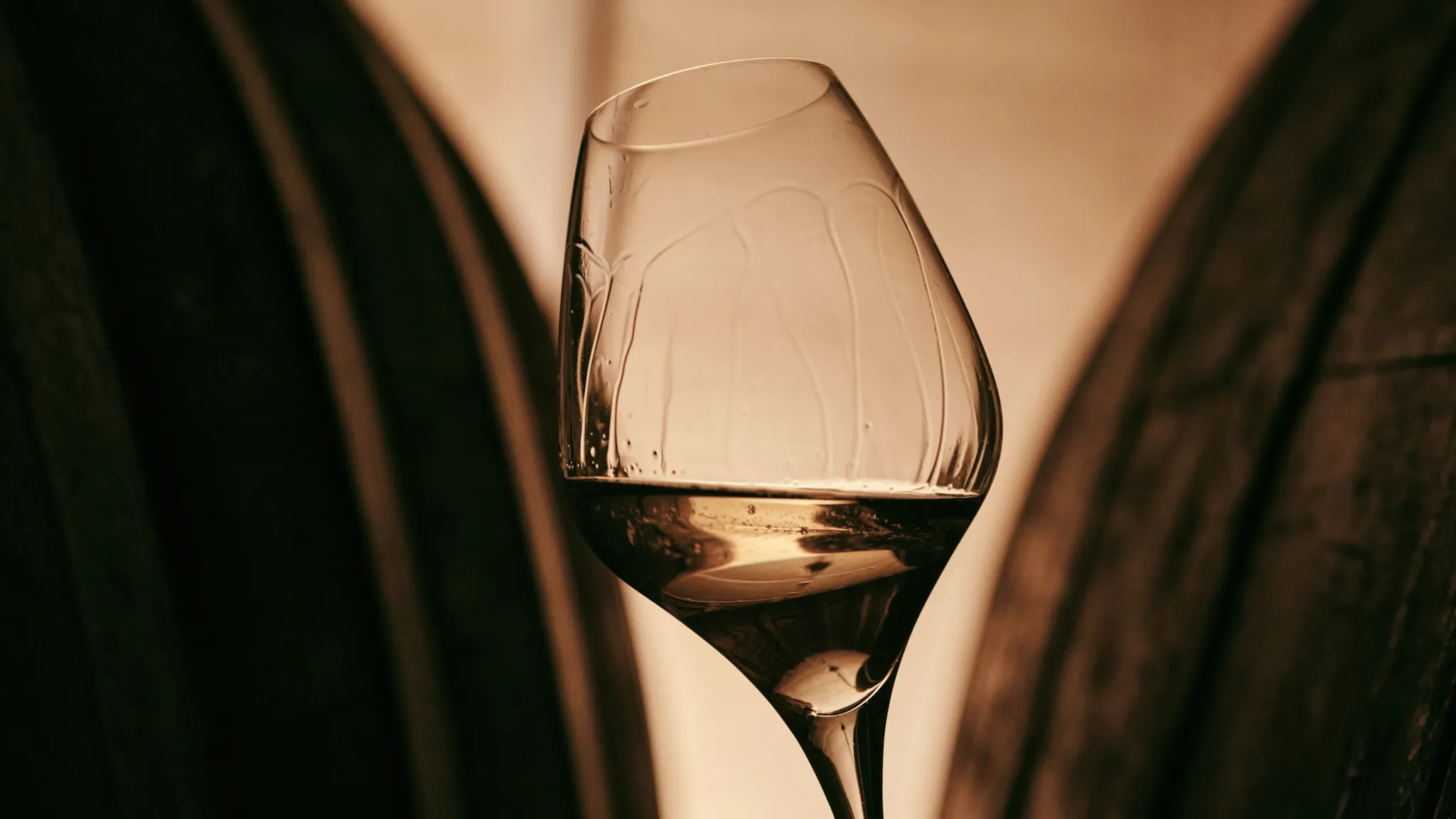 Glas Weißwein vor dunkelgrünen Blättern im Gegenlicht.