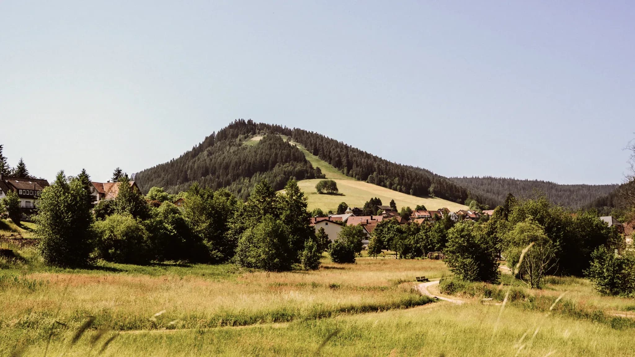 Bewaldeter Bergkegel über einem Dorf im Tal, davor Wiesen und Sträucher.
