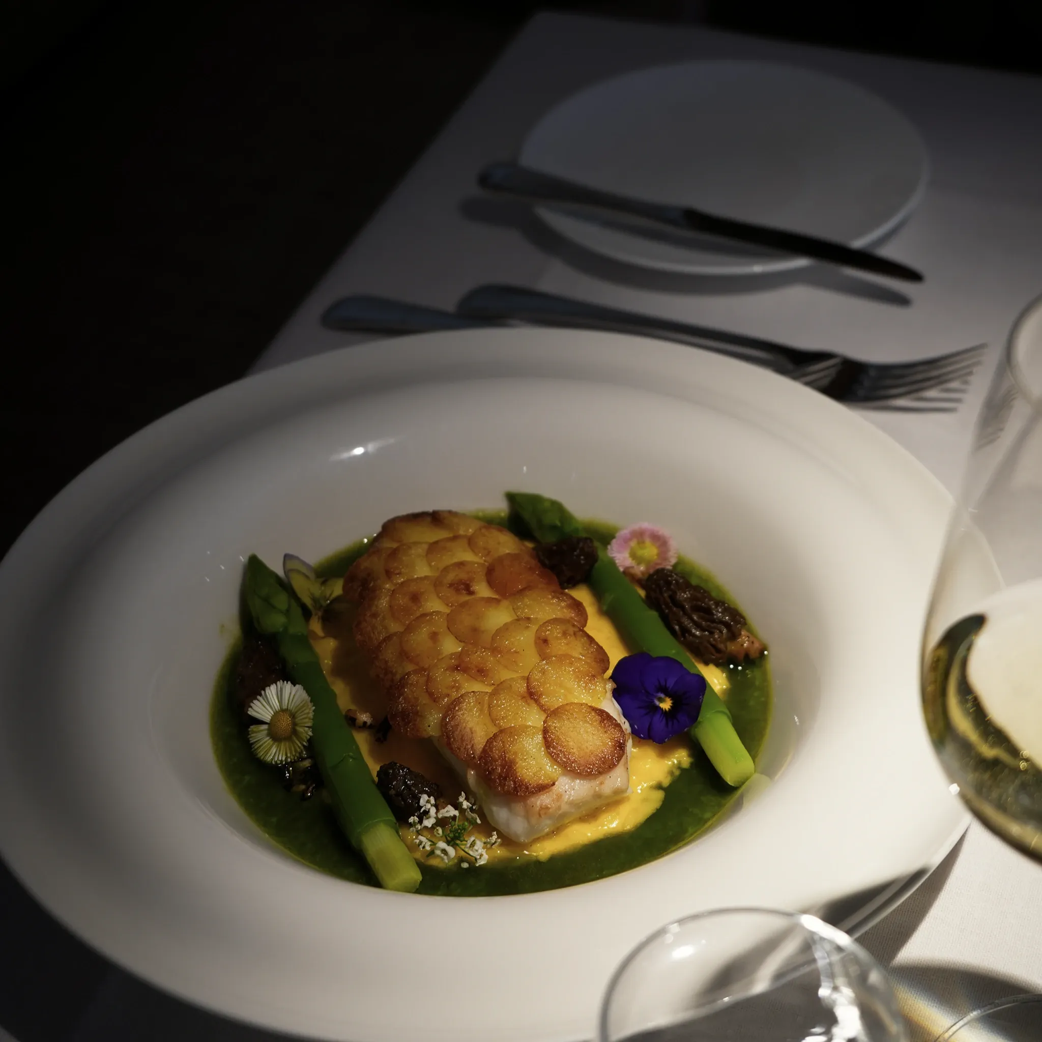 Fisch mit Kartoffelkruste auf grüner Sauce mit Spargel, angerichtet auf weißem Teller.