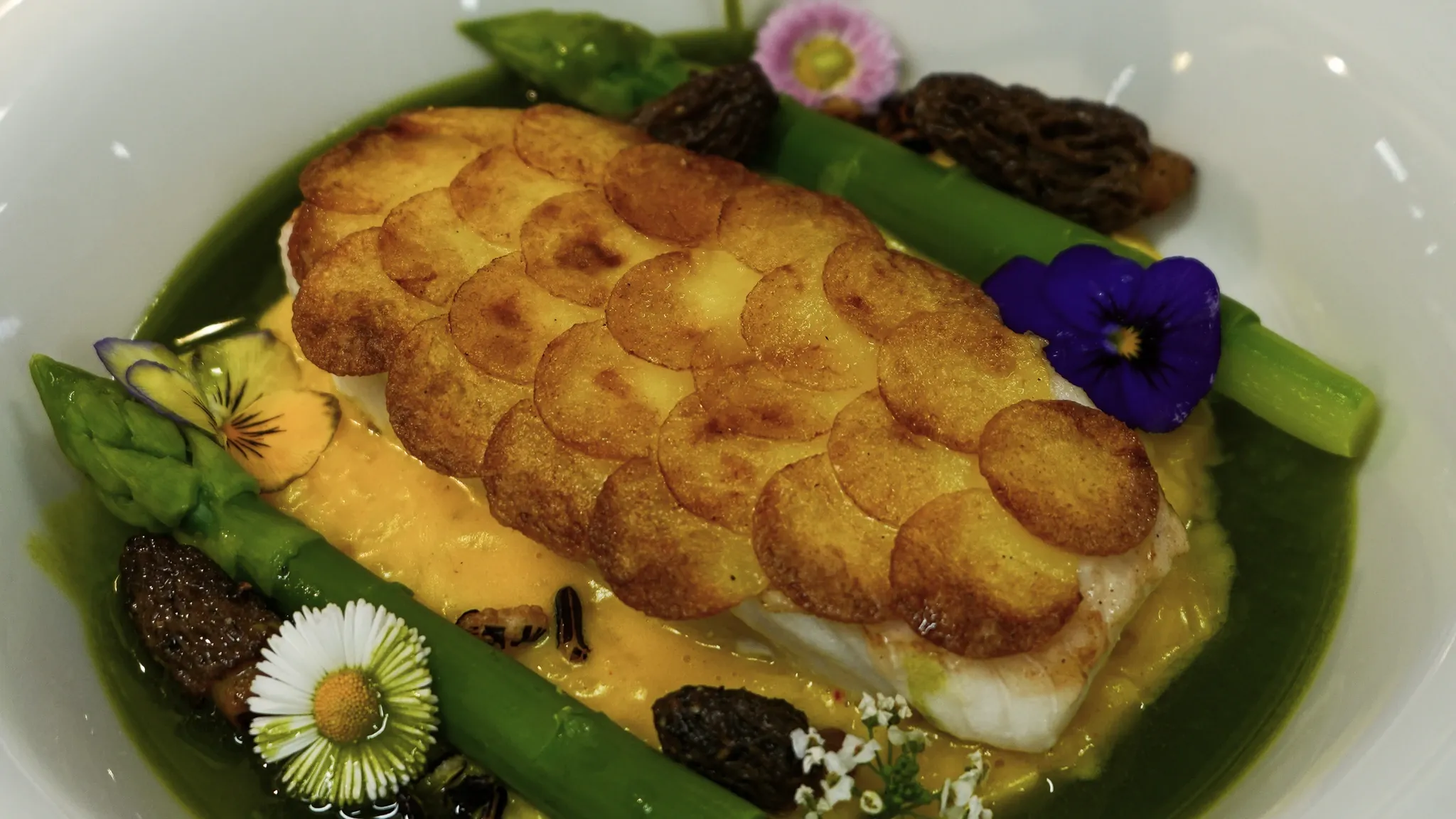 Blick von oben auf Fisch mit Kartoffelkruste auf grüner Sauce, mit grünem Spargel, Morcheln und essbaren Blüten.