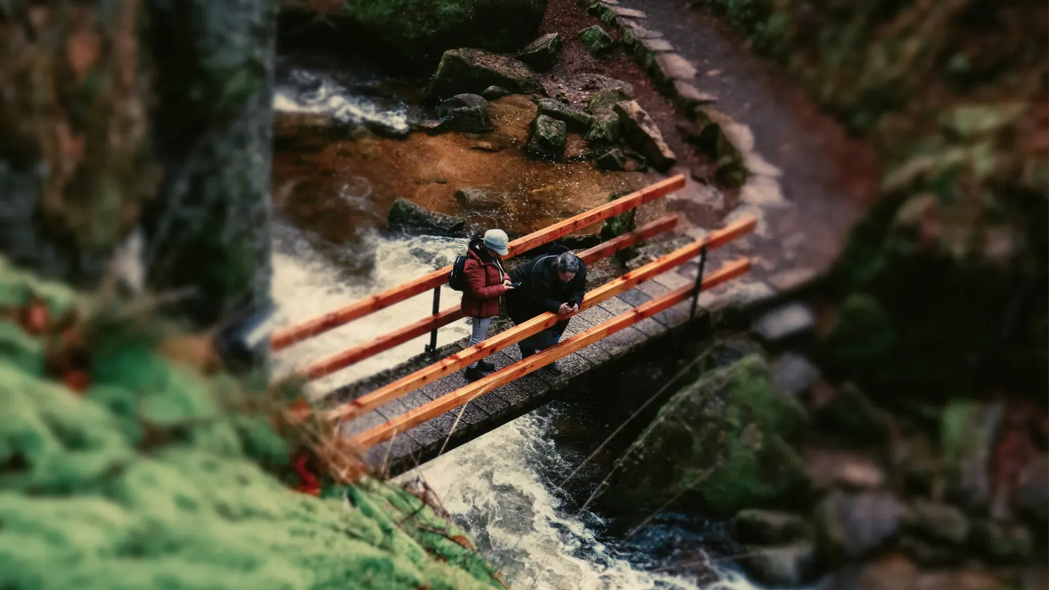 Wanderer überqueren eine Holzbrücke über einen Bach im dichten Grün, aus der Vogelperspektive.