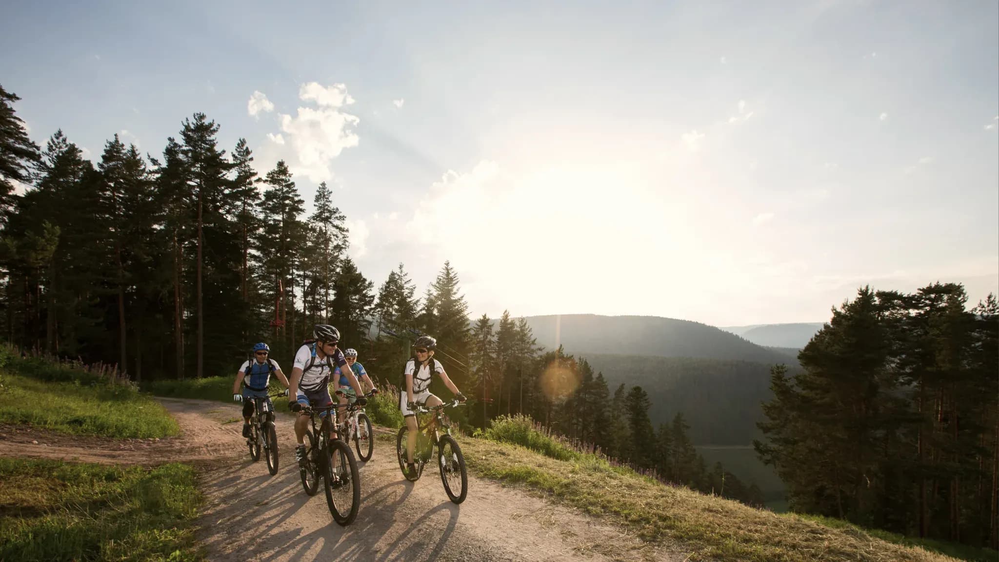 Vier Mountainbiker fahren im Abendlicht über einen Schotterweg am Waldrand.