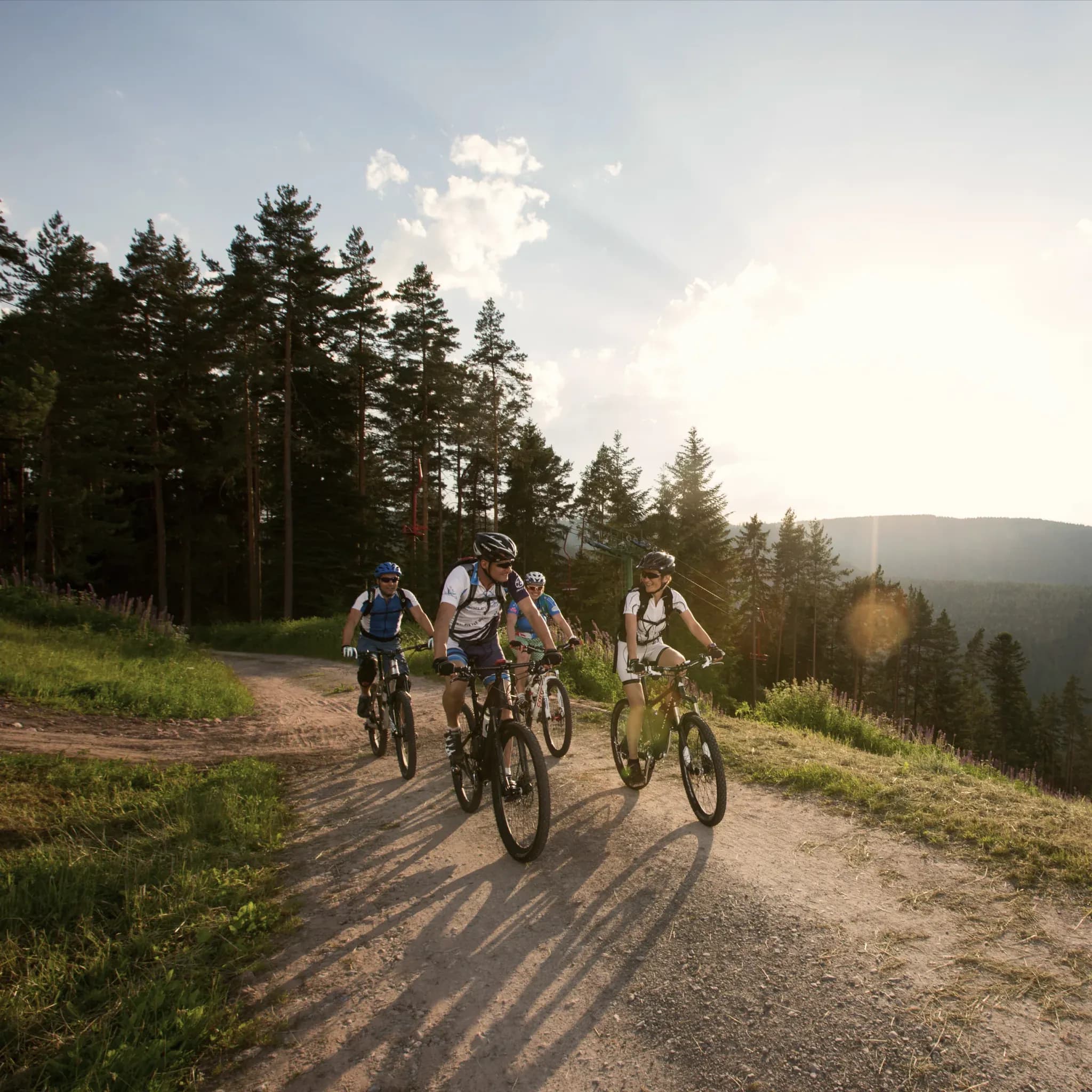 Vier Mountainbiker fahren im Abendlicht über einen Schotterweg am Waldrand.
