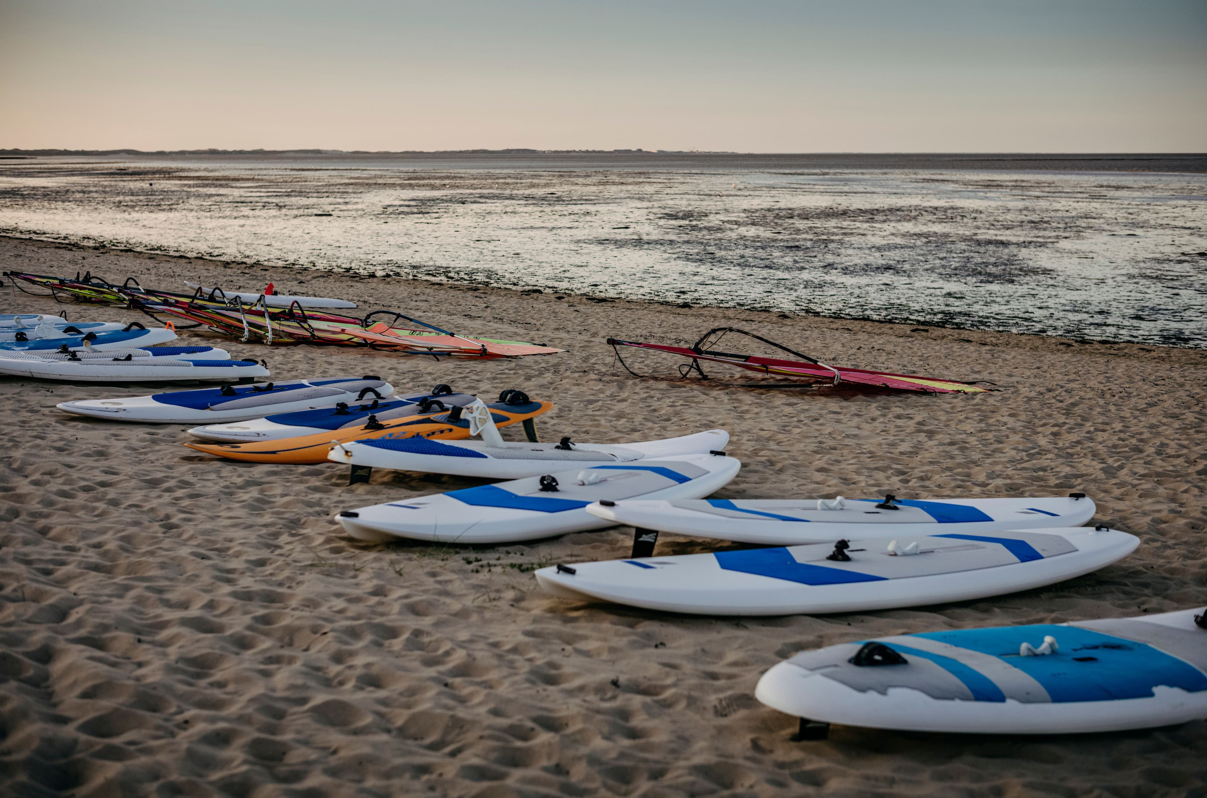Reihe von Windsurfbrettern und Stand-up-Paddleboards an einem Wattenmeer-Strand bei Ebbe in der Abenddämmerung