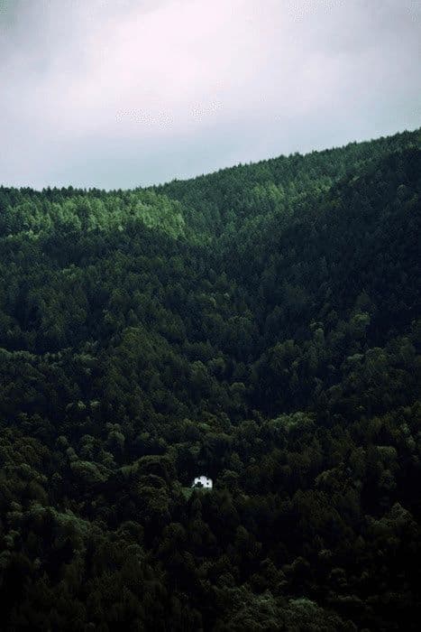 Bewaldeter Hang im Schwarzwald oberhalb des Engel Obertal