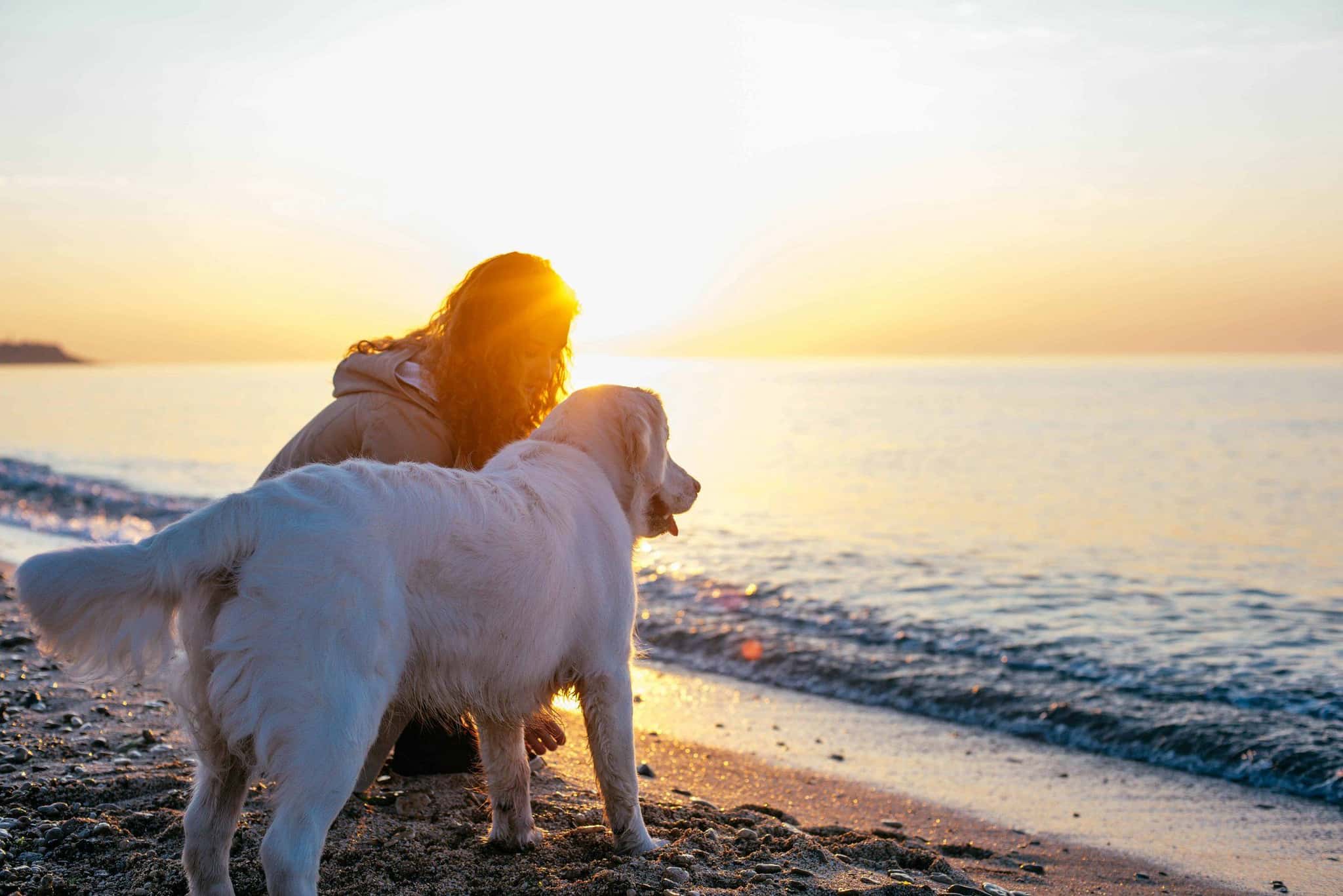 Frau und weißer Hund am Strand bei Sonnenuntergang, Blick aufs Meer