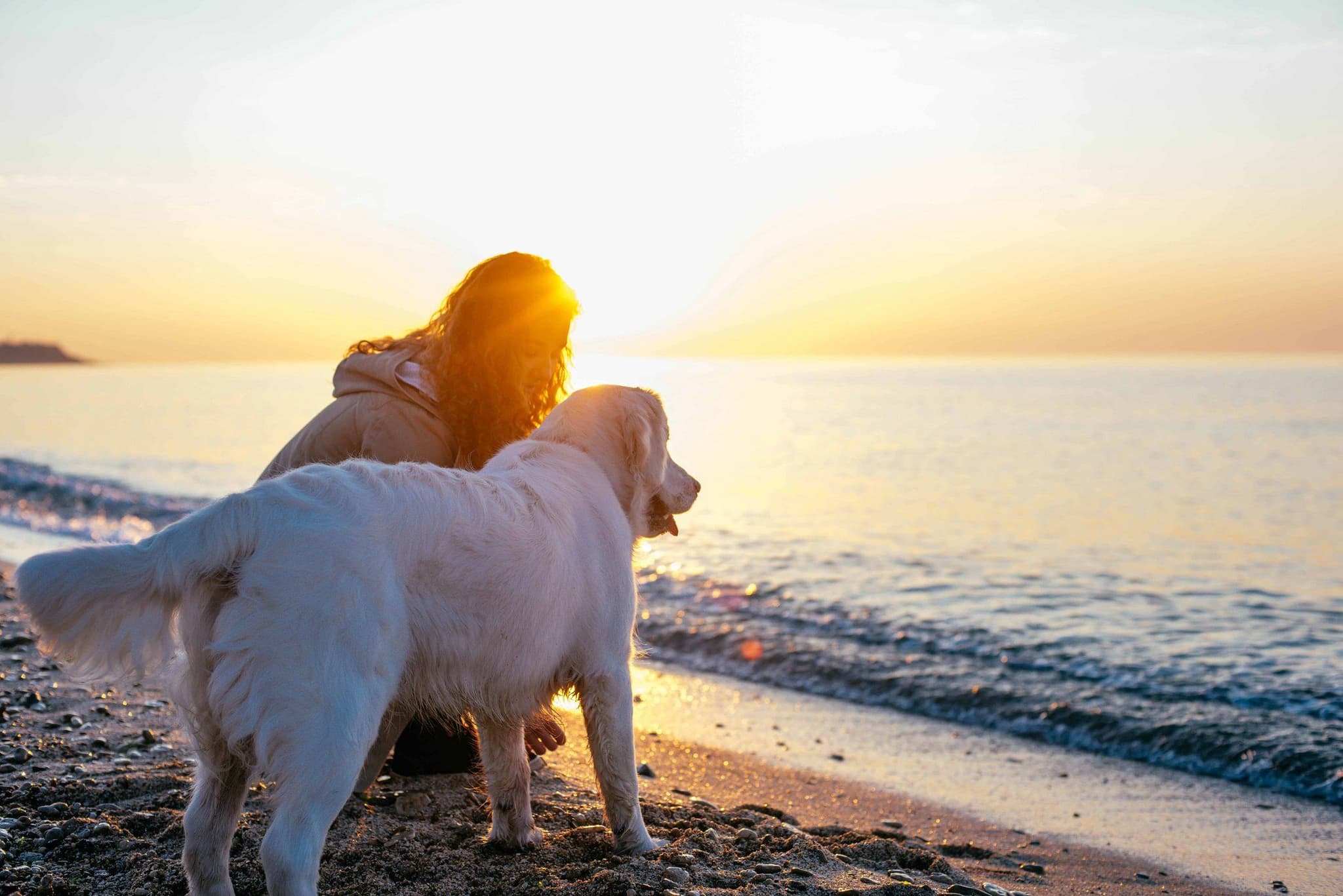 Frau und weißer Hund am Strand bei Sonnenuntergang, Blick aufs Meer